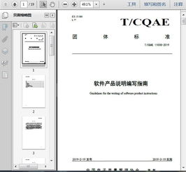 t cqae 11008 2019軟件產(chǎn)品說(shuō)明編寫(xiě)指南19頁(yè)