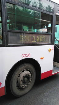 優(yōu)化城市公共交通 問題反饋與改進建議